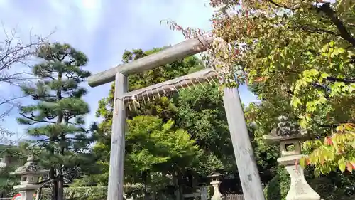 木嶋坐天照御魂神社(京都府)