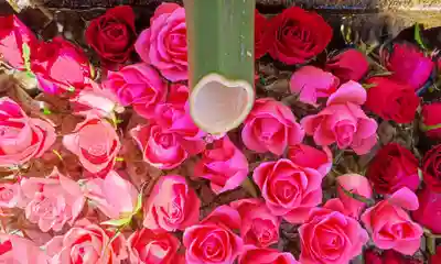 差出磯大嶽山神社 仕事と健康と厄よけの神さまの手水舎