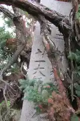 信貴山師長院の建物その他