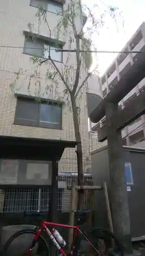 栁神社(東京都)