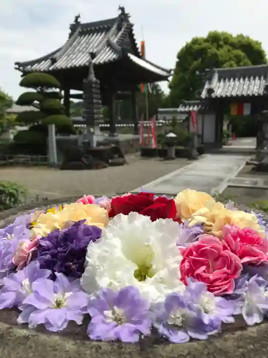 真言宗 善通寺派 薬王寺の手水舎
