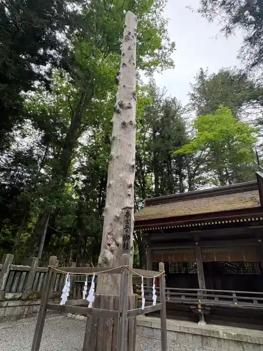 諏訪大社下社春宮(長野県)