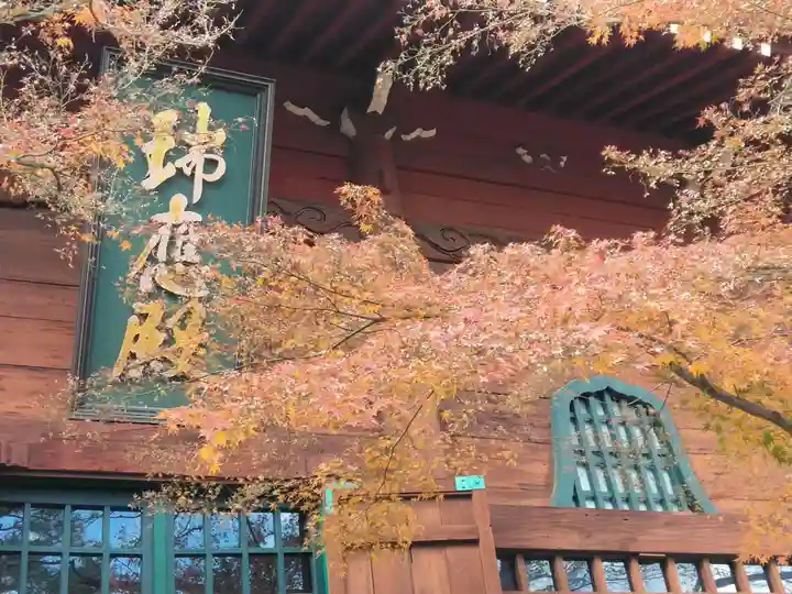 養玉院如来寺(東京都)