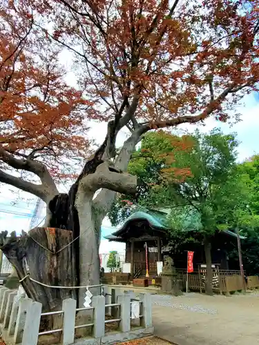 阿邪訶根神社(福島県)