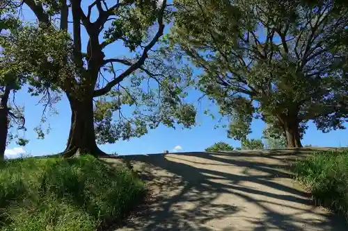 鎌達稲荷神社の自然