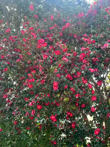 比佐豆知神社の{uncategorized: "未分類", other: "その他", undefined: "問題あり", building: "その他建物", grave: "お墓", sacred_gate: "鳥居", guardian: "狛犬", statue: "像", buddha: "仏像", history: "歴史", nature: "自然", garden: "庭園", animal: "動物", pagoda: "塔", temizu: "手水舎", mountain_gate: "山門・神門", sanctuary: "本殿・本堂", subordinate: "末社・摂社", art: "芸術", scenery: "景色", jizo: "地蔵", ema: "絵馬", goshuin: "御朱印", omikuji: "おみくじ", items: "授与品その他", amulet: "お守り", goshuincho: "御朱印帳", eats: "食事", festival: "お祭り", votive_dance: "神楽", shichigosan: "七五三参", wedding: "結婚式", experience: "体験その他", initially: "初詣", around: "周辺", anti_infection: "感染症対策"}
