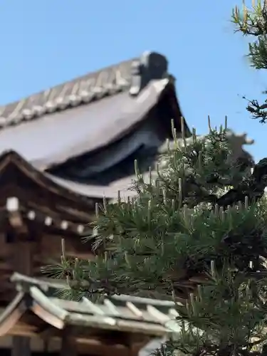 浄信寺(滋賀県)