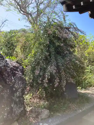 光照寺(神奈川県)