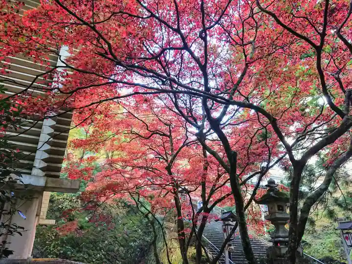 最乗寺(道了尊)の自然