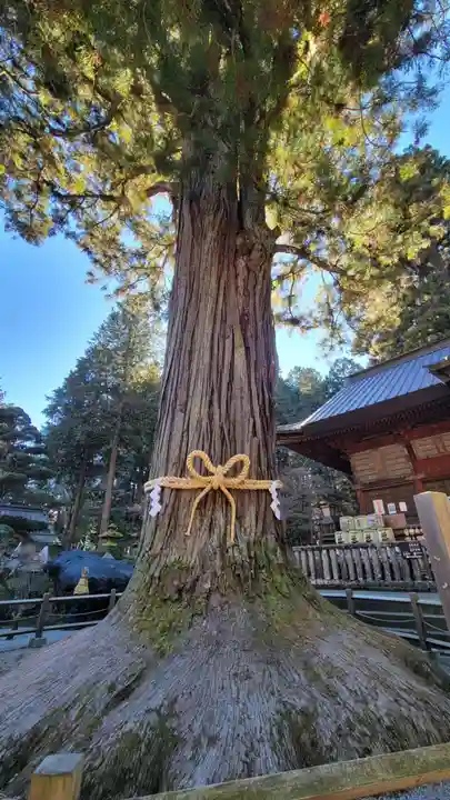 北口本宮冨士浅間神社の自然