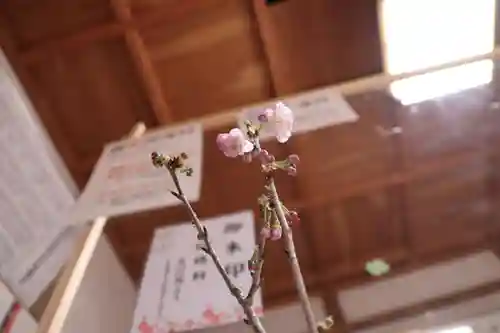 高司神社〜むすびの神の鎮まる社〜の自然
