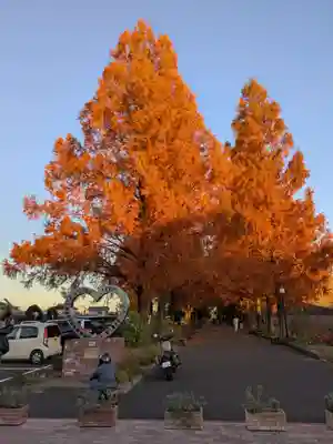 野木神社の周辺
