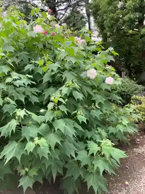 浄土宗南命山善光寺(東京都)
