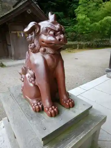 美保神社の狛犬