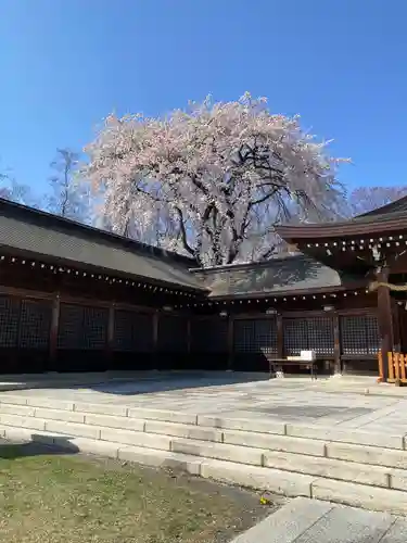 長野縣護國神社(長野県)