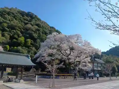 岐阜護國神社(岐阜県)