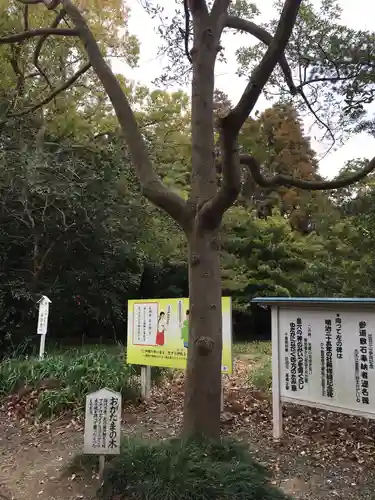 島穴神社の自然