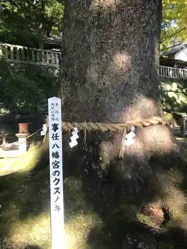 事任八幡宮の自然