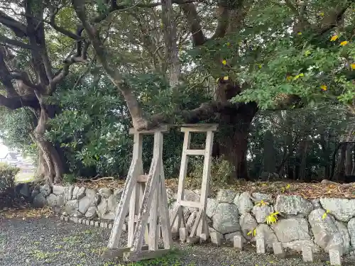 御薗神社の{uncategorized: "未分類", other: "その他", undefined: "問題あり", building: "その他建物", grave: "お墓", sacred_gate: "鳥居", guardian: "狛犬", statue: "像", buddha: "仏像", history: "歴史", nature: "自然", garden: "庭園", animal: "動物", pagoda: "塔", temizu: "手水舎", mountain_gate: "山門・神門", sanctuary: "本殿・本堂", subordinate: "末社・摂社", art: "芸術", scenery: "景色", jizo: "地蔵", ema: "絵馬", goshuin: "御朱印", omikuji: "おみくじ", items: "授与品その他", amulet: "お守り", goshuincho: "御朱印帳", eats: "食事", festival: "お祭り", votive_dance: "神楽", shichigosan: "七五三参", wedding: "結婚式", experience: "体験その他", initially: "初詣", around: "周辺", anti_infection: "感染症対策"}