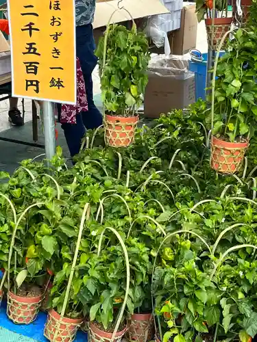 浅草寺(東京都)
