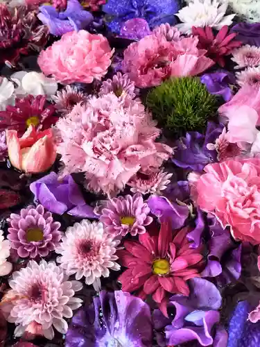 札幌諏訪神社の手水舎