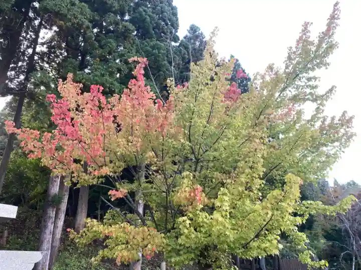 太平山三吉神社総本宮の自然