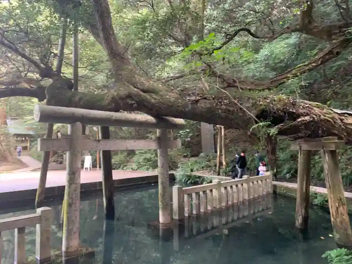 鹿島神宮(茨城県)