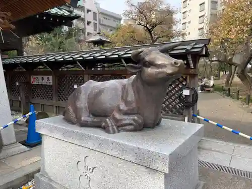 湯島天満宮の狛犬