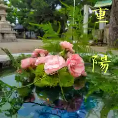 高砂神社の手水