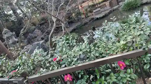 吉田神社(京都府)