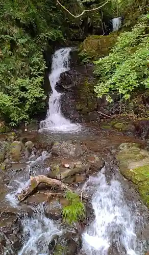 九頭龍神社(東京都)