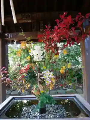 赤坂氷川神社(東京都)