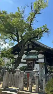 誉田八幡宮(大阪府)