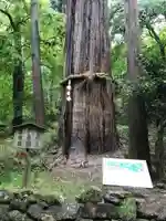 石山寺(滋賀県)