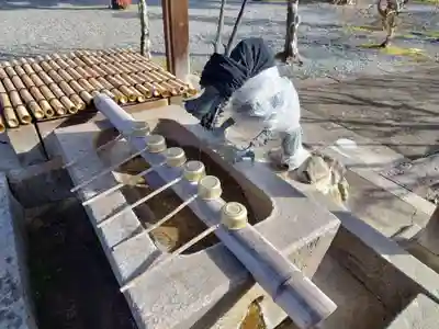 穴太寺(京都府)