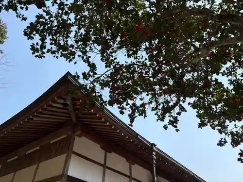 普明寺(兵庫県)