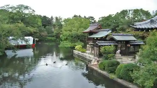 神泉苑の庭園