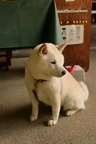 久遠寺(山梨県)