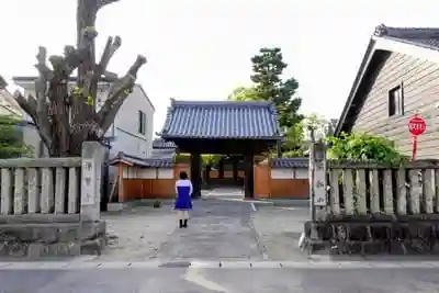 浄賢寺の山門