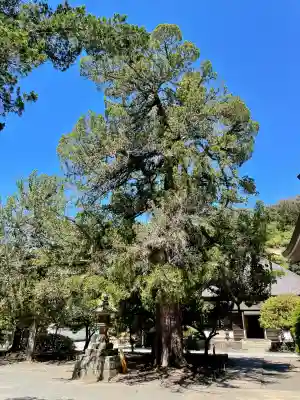 円覚寺(神奈川県)