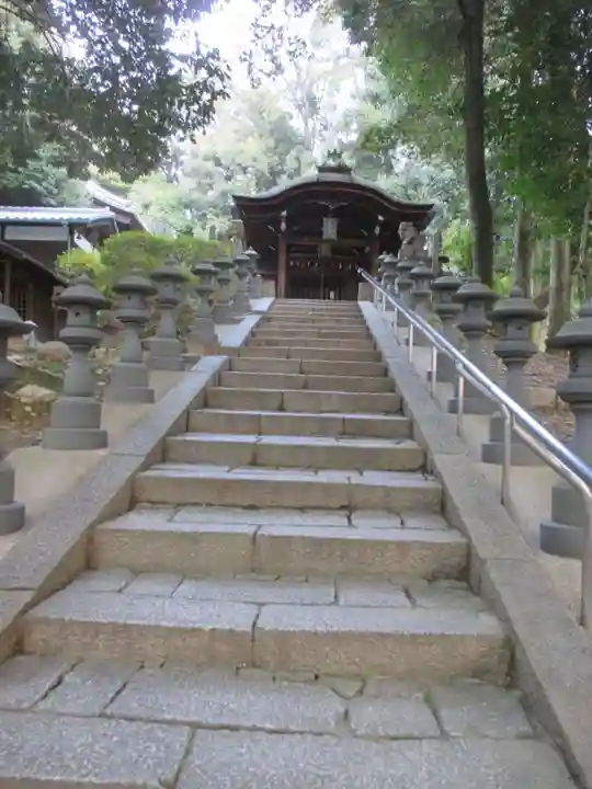 東福禅寺(東福寺)(京都府)