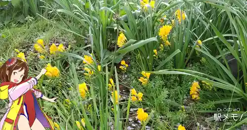 奥戸馬頭観音の自然