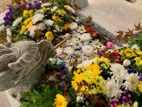 滑川神社 - 仕事と子どもの守り神の手水舎