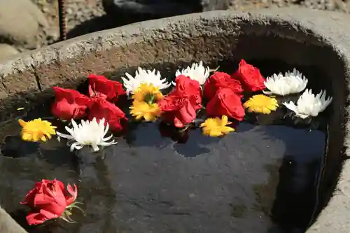 彌彦神社　(伊夜日子神社)の手水舎