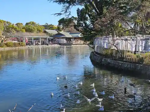 鶴岡八幡宮(神奈川県)