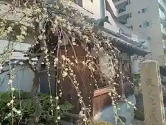 天神社の自然