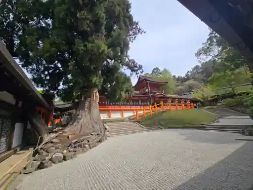 春日大社(奈良県)