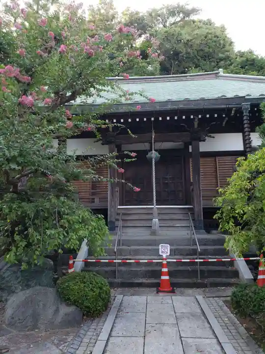 遍照寺の本殿・本堂