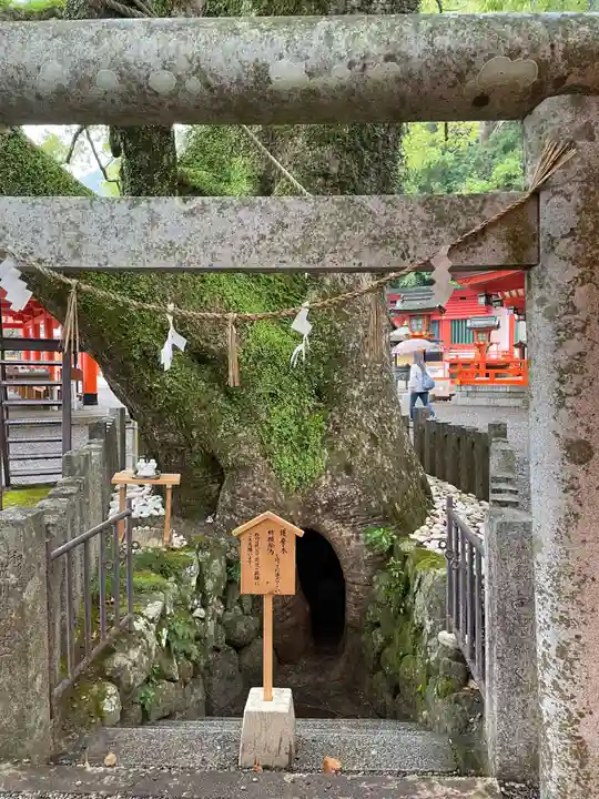 熊野那智大社(和歌山県)