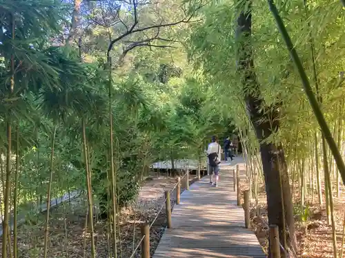 武蔵一宮氷川神社(埼玉県)